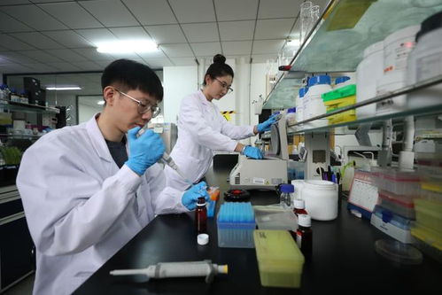 探訪北方粳稻育種栽培技術(shù)國家地方聯(lián)合工程實(shí)驗(yàn)室 遼寧